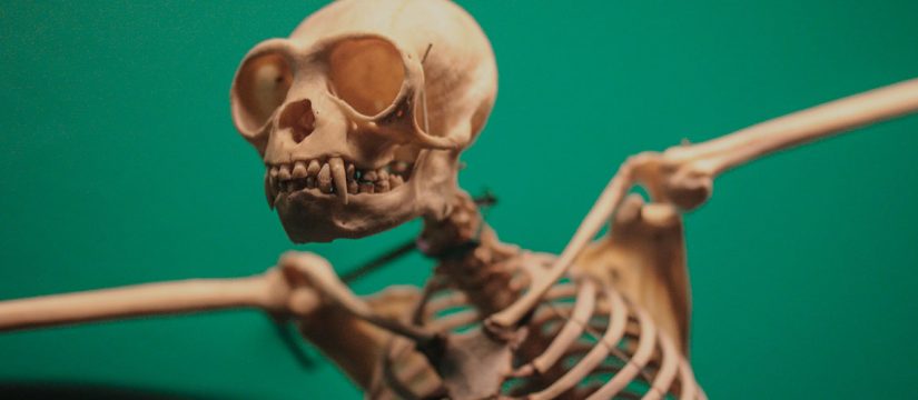 This sleep disorder puts people at ‘very high risk’ of Parkinson’s